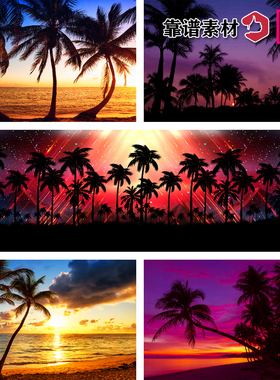 海边夕阳晚霞美景椰树林剪影夏天度假夜景风景高清背景图片设计素