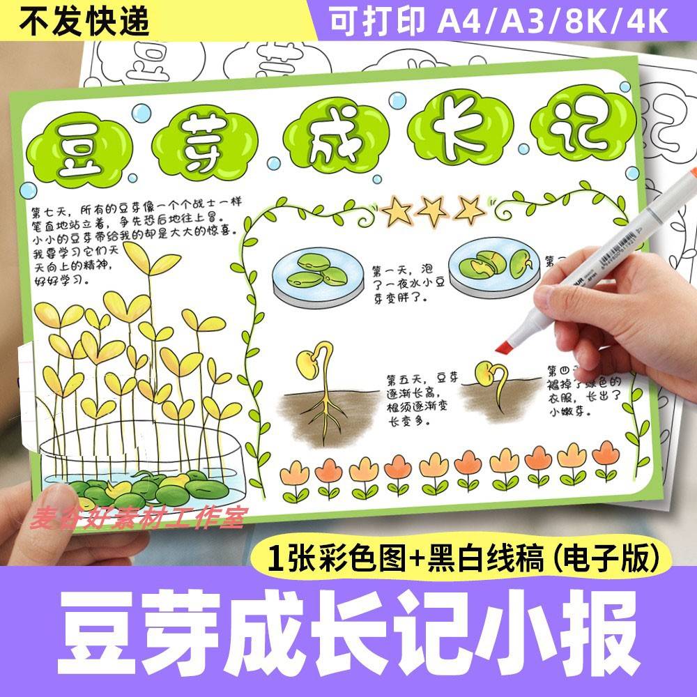 豆芽成长记手抄报电子模板 植物生长观察日记小学生记录表线稿