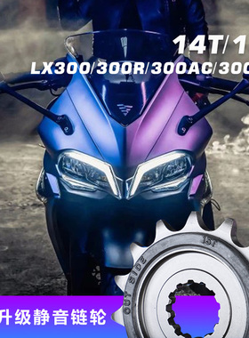 适用于隆鑫LX300-6A摩托车牙盘 无极300R 300AC静音链轮改装小齿