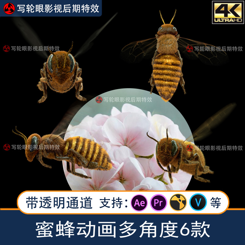 蜜蜂飞舞CG三维动画视频素材AE/PR/抖音影视特效带透明通道alpha