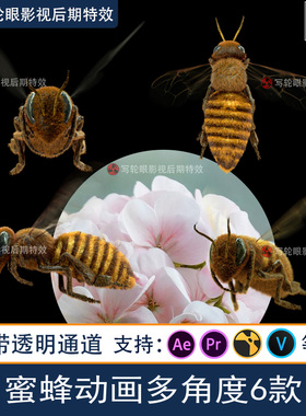 蜜蜂飞舞CG三维动画视频素材AE/PR/抖音影视特效带透明通道alpha