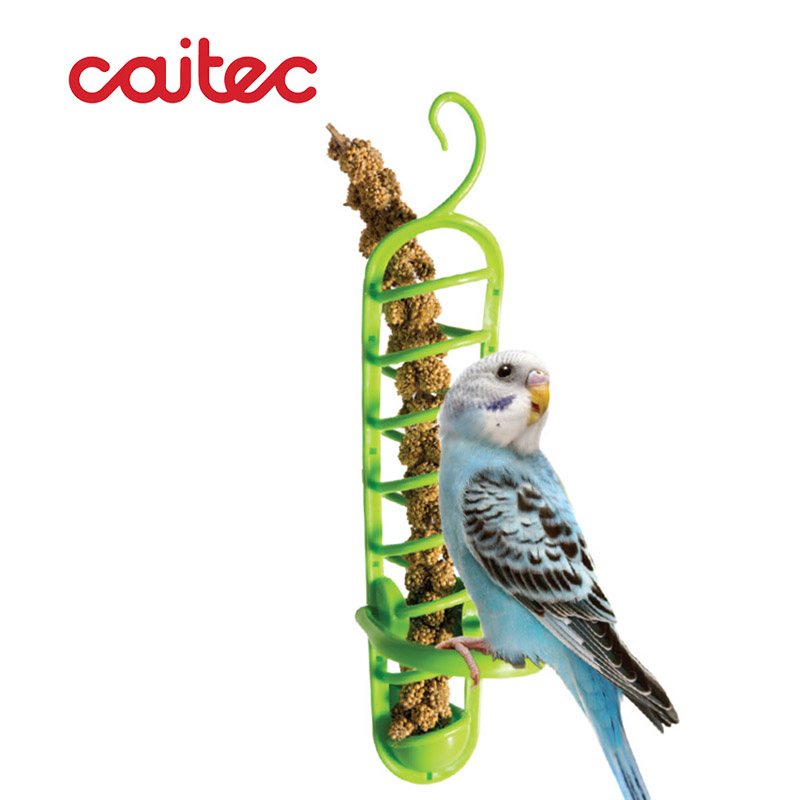 CAITEC美国觅食天堂 鹦鹉小鸟食物篮 放小米穗水果蔬菜 塑料制
