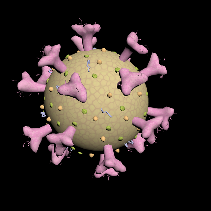 新冠病毒Sars-cov-2模型01200723三维图纸（3DMAX/OBJ文件格式）