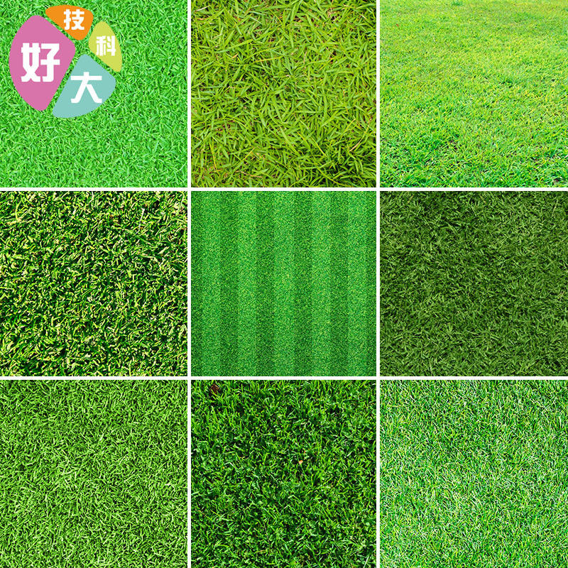 绿色草地草坪足球场高清背景素材PS设计材质底纹贴图JPG图片