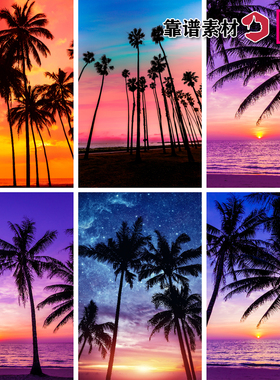 竖屏漂亮的海边夕阳美景椰树林夏天度假风景高清背景图片设计素材