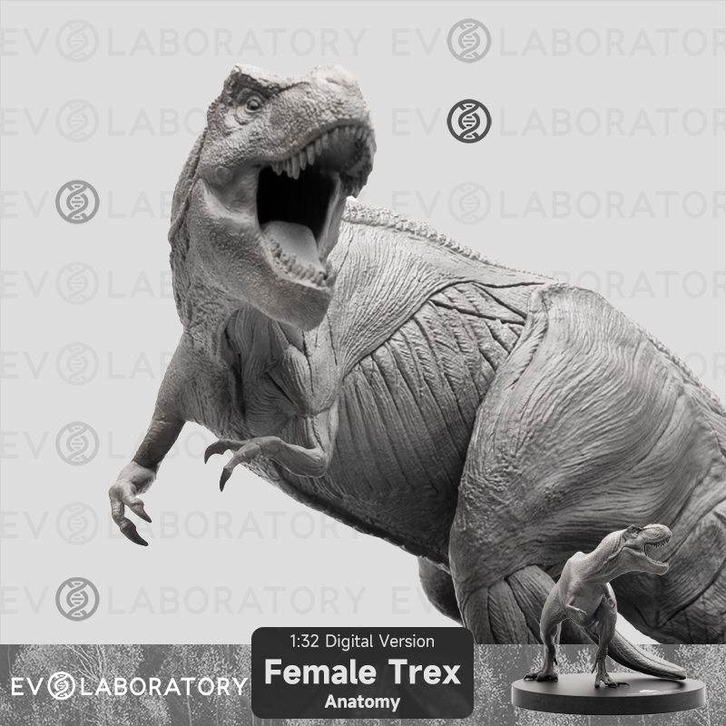 EVO肌肉解剖雌性暴龙科教模型美术医学教学雕塑侏罗纪世界暴龙
