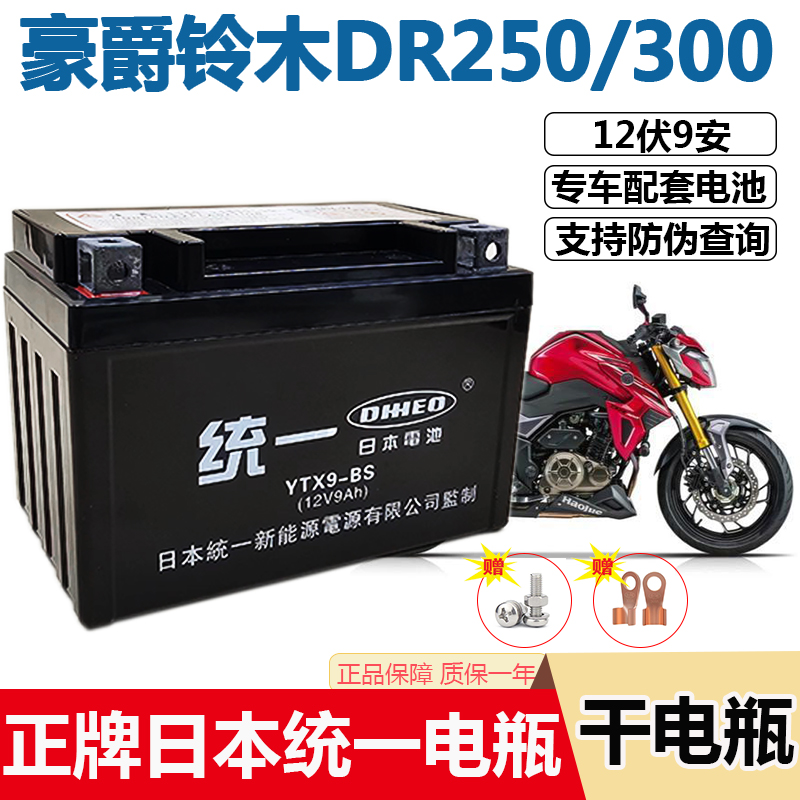 摩托车统一干电瓶适用豪爵铃木DR250 DR300 TR300天浪AN250 AN400