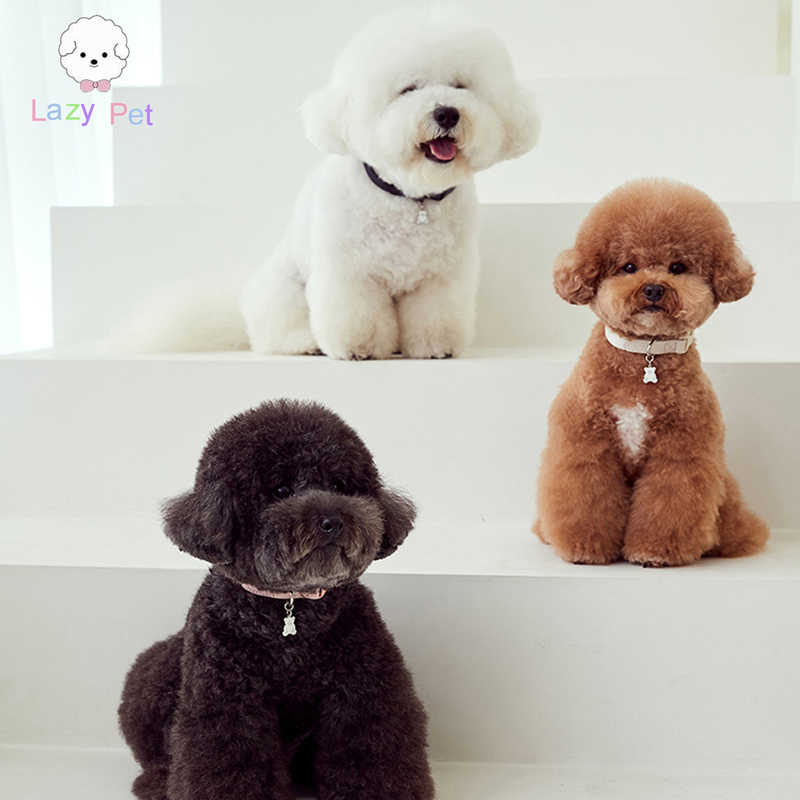 「Lazy Pet」韩国代购宠物狗狗名字定制简单小熊挂饰项圈牵引套装