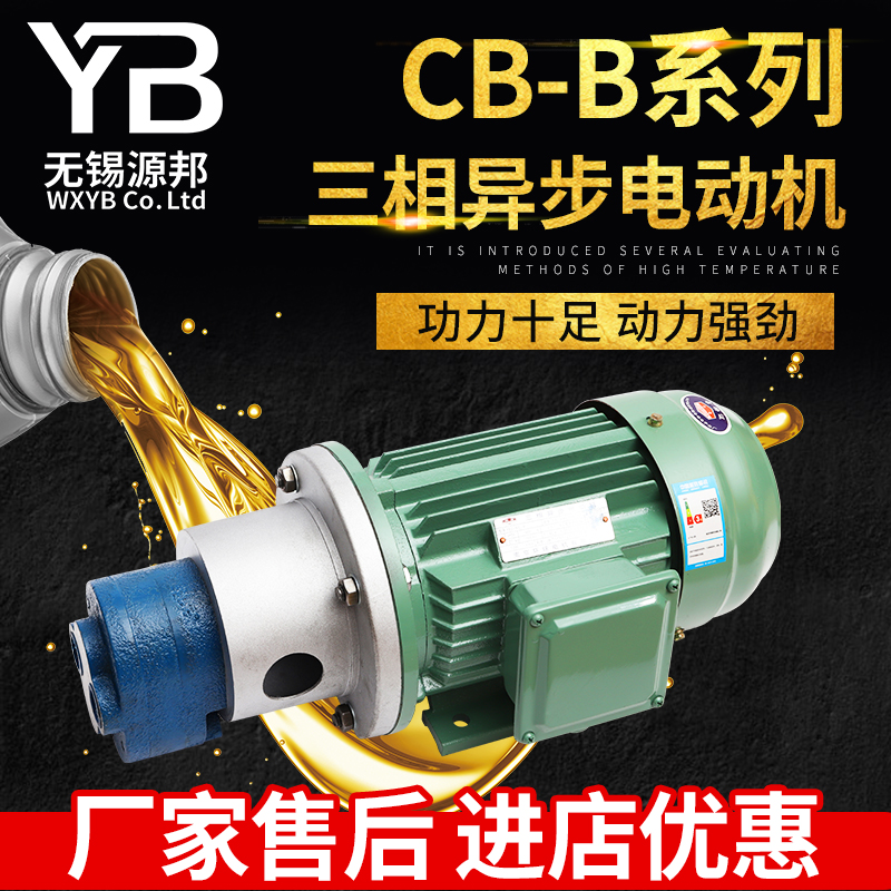 CB-B10齿轮油泵三相抽油泵齿轮油泵380V全铜交流齿轮泵小型高压泵