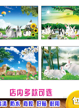 兔子海报儿童房可爱动物海报早教图片装饰画贴四只小白兔海报贴图