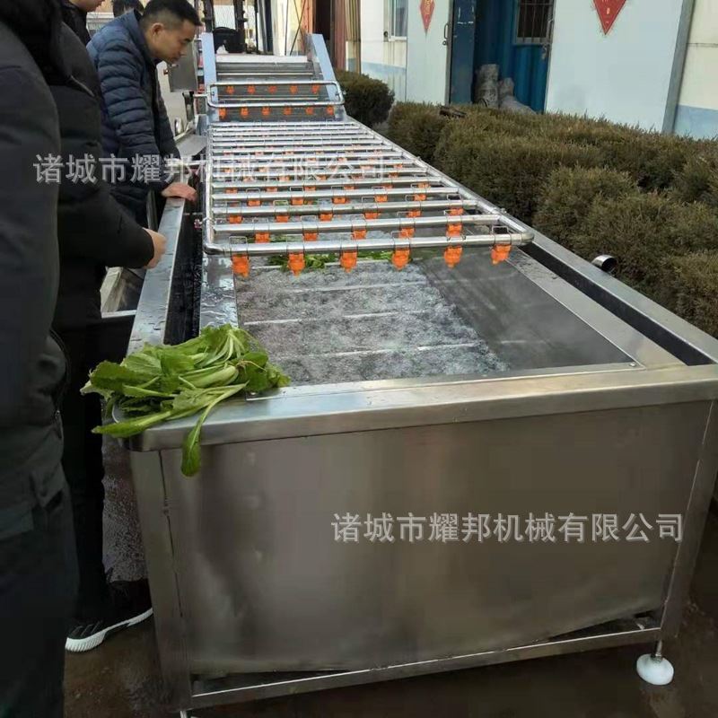 中央厨房蔬菜清洗机 蔬菜清洗设备 全自动提升喷淋蔬菜清洗流水线