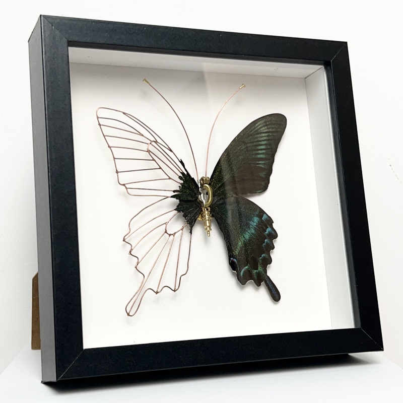机械蝴蝶标本相框家居摆件DIY手工艺品蒸汽朋克昆虫
