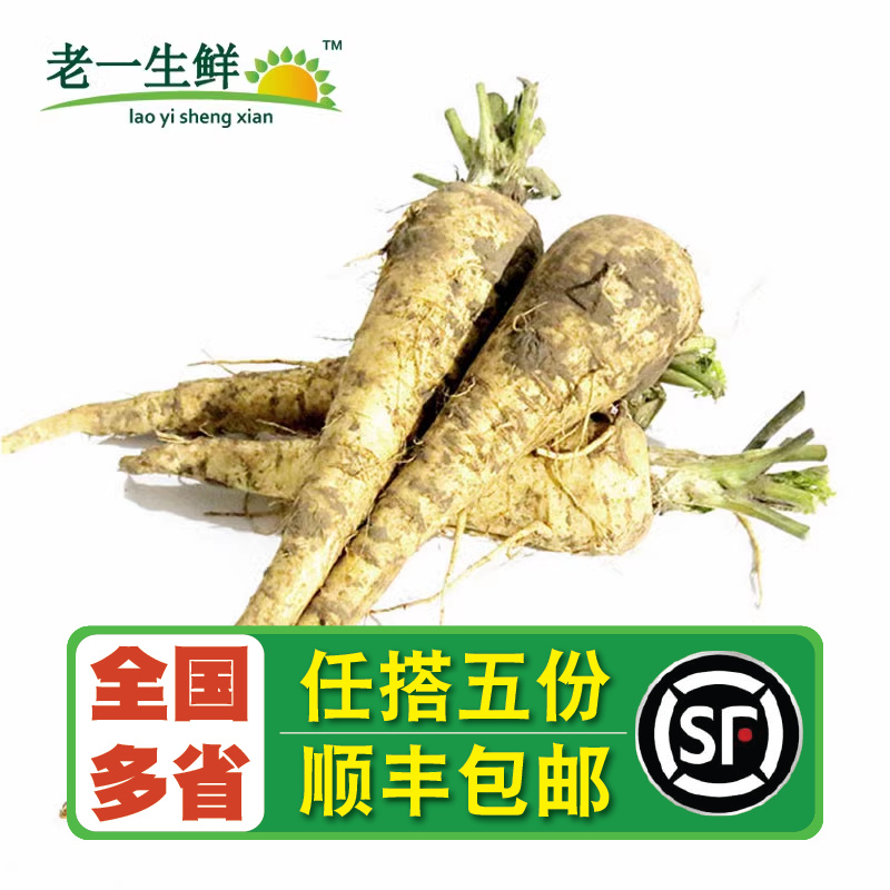 【老一生鲜】新鲜蔬菜 防风根 欧洲萝卜 Fresh parsnip  500g