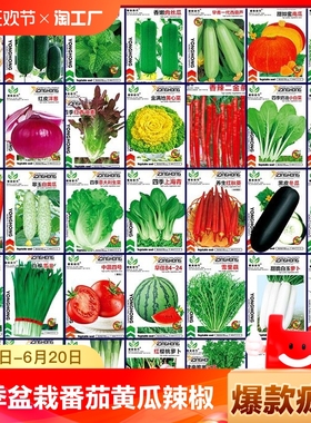 蔬菜种子四季播盆栽番茄黄瓜辣椒西瓜籽孑大全罗卜苏州菜水果种植