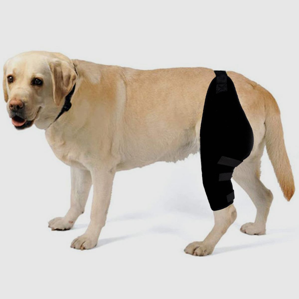 亚马逊爆款宠物护具腿部受伤术后护腿保护套关节固定支架狗狗护膝