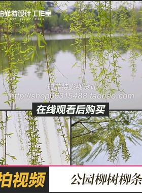 虚实变化的柳条实拍视频素材柳树柳枝柳叶摇曳湖畔美景湖水面倒影