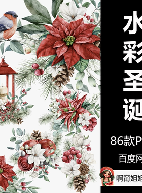 冬天圣诞手绘水彩花卉Ai生成插画简笔画PNG免抠设计素材图片新品