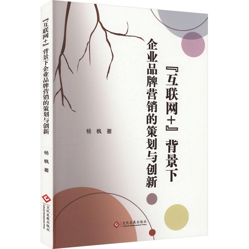 RT正版 互联网+背景下企业品牌营销的策划与创新9787514242867 杨枫文化发展出版社管理书籍