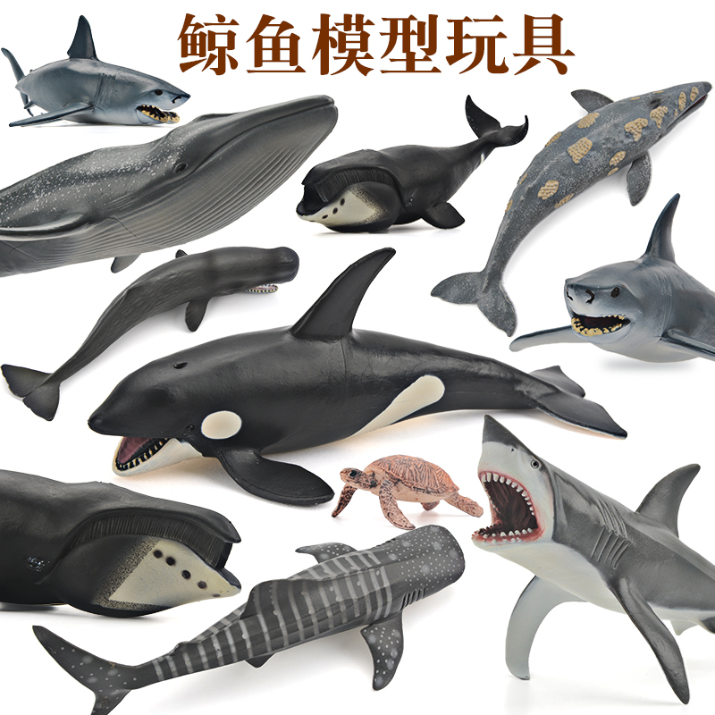 仿真海洋动物玩具海底生物世界模型大白鲨鱼虎鲸蓝鲸儿童宝宝认知