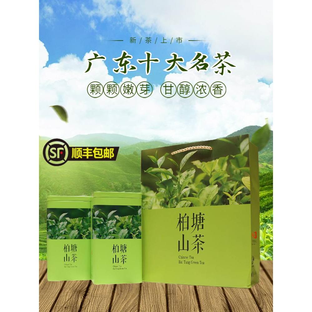 柏塘山茶夏茶惠州博罗广东十大名茶客家特级绿茶罗浮山特产茶叶