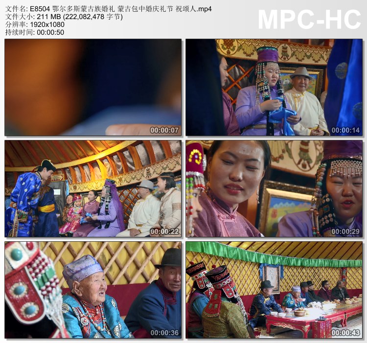 鄂尔多斯蒙古族婚礼 蒙古包中婚庆礼节 祝颂人 高清实拍视频素材