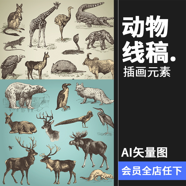 复古动物线稿老虎长颈鹿鳄鱼秃鹫羚羊麋鹿角牛AI矢量设计图片素材