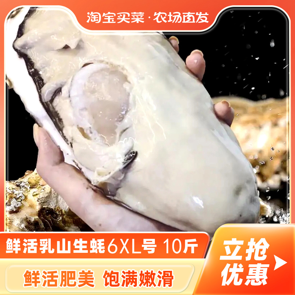 鲜活乳山生蚝6XL 10斤新鲜牡蛎超大肉海蛎子带壳刺身即食海鲜水产