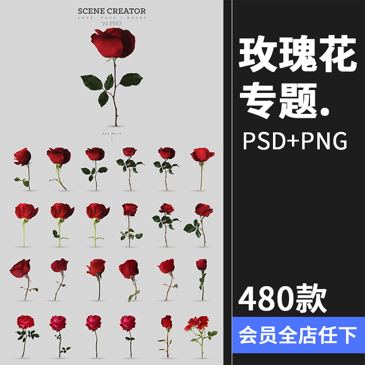 玫瑰花专题 各色花瓣花枝单支手绘婚礼情人节PSD模板PNG免抠素材