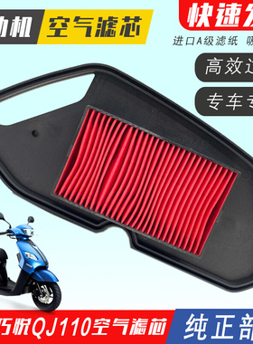 适用于钱江摩托车空滤芯巧悦 QJ110T-8D踏板车空气滤芯滤清器空滤