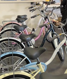 捷安特自行车24寸女式学生单车成人淑女城市休闲车通勤车代步