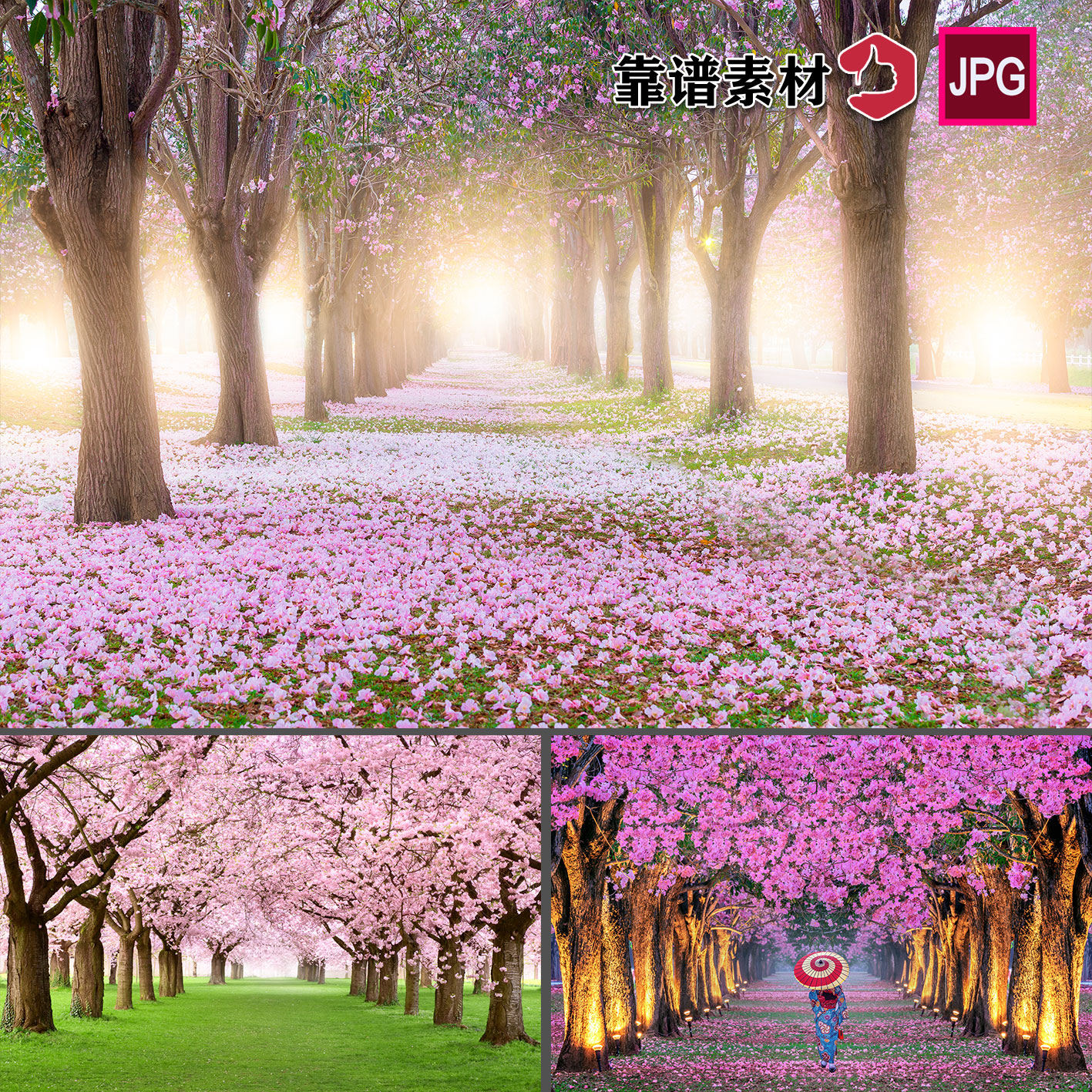 美丽春天桃花樱花树林林荫小道壁纸装饰画高清图片JPG设计素材