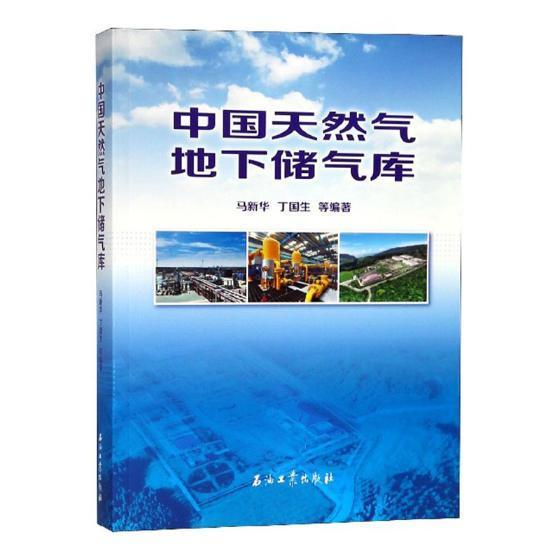 正版中国天然气地下储气库马新华书店工业技术书籍 畅想畅销书