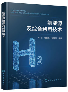 当当网 氢能源及综合利用技术 郑欣 化学工业出版社 正版书籍