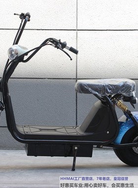 厂家直销普哈雷车20A铅酸电池电动车摩托车哈雷电动车电摩踏板车