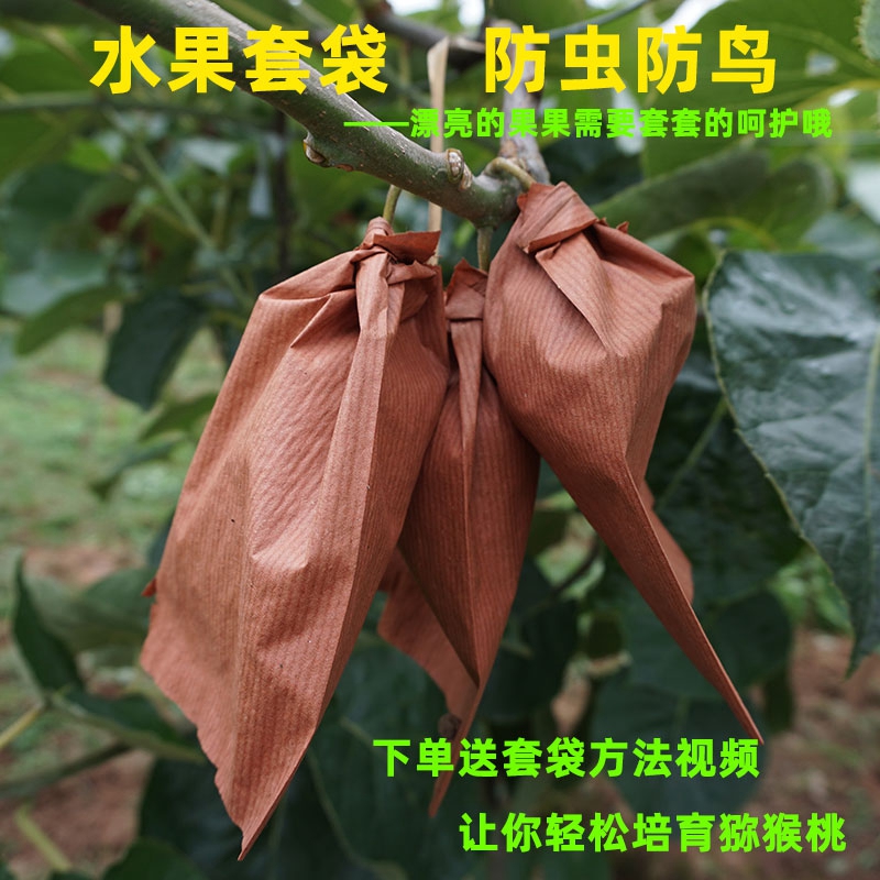 红心猕猴桃育果袋防虫防鸟袋子优质奇异果套袋单层12*16cm带铁丝