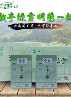 正宗敬亭绿雪茶2024年新茶宣城敬亭山原产地明前茶一级绿茶礼盒装