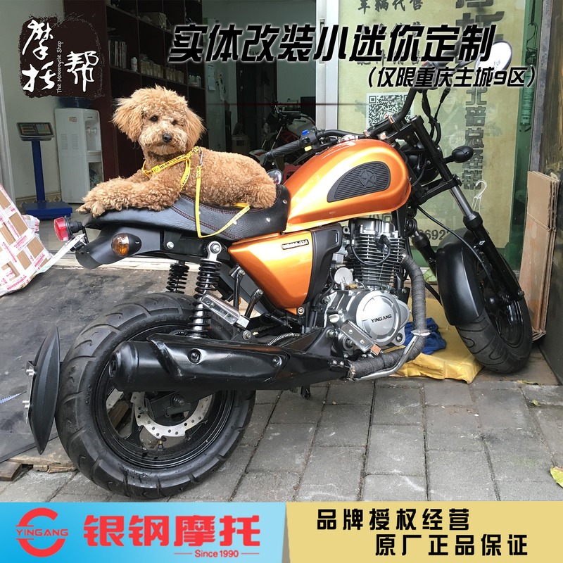 重庆卖摩托车的实体店
