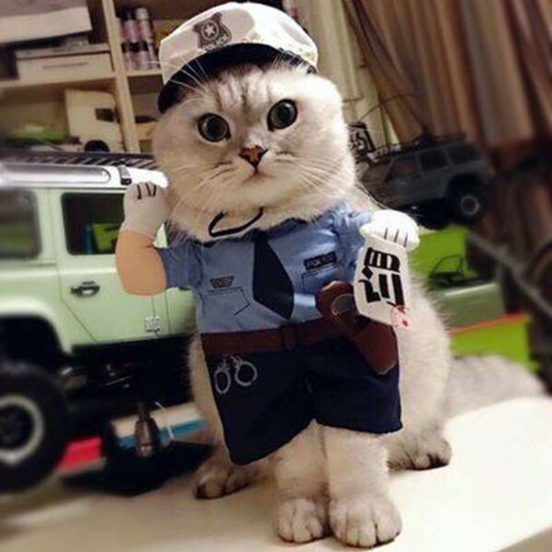 猫咪衣服变身装搞笑搞怪装猫衣服两脚直立装交警贴罚单娱乐猫服饰