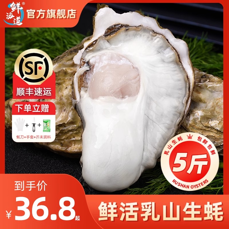乳山生蚝鲜活特大牡蛎新鲜海鲜海蛎生耗商用批发超大生蚝2单10斤