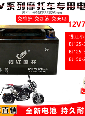 适用钱江小暴龙BJ125-3ETNT/135 BJ150-29B摩托车电池免维护12V7A