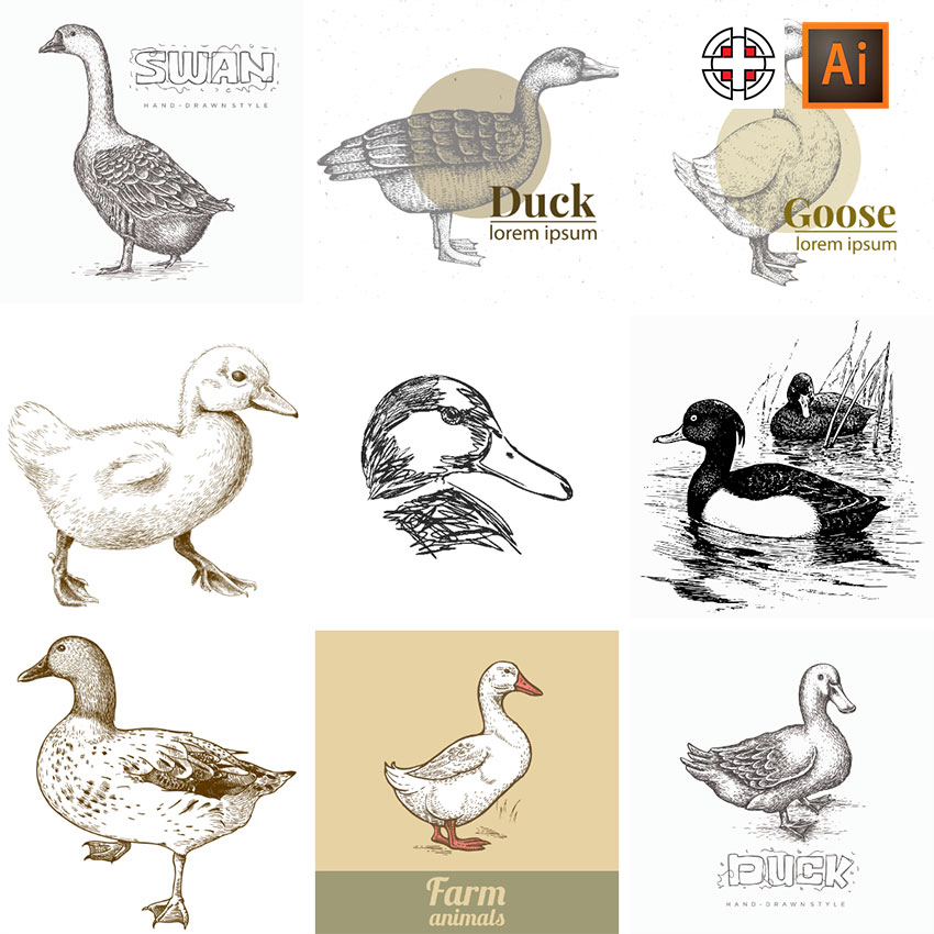 手绘黑白线描草图草稿鸭子插画AI矢量设计素材