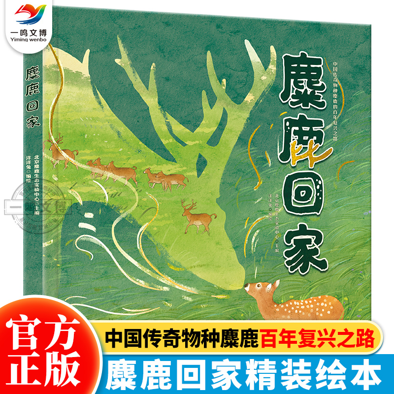 洋洋兔童书 麋鹿回家 精装硬壳故事绘本 中国传奇物种麋鹿的百年复兴之路世界上最后18头麋鹿是怎样存活下来的 明天出版社正版书籍