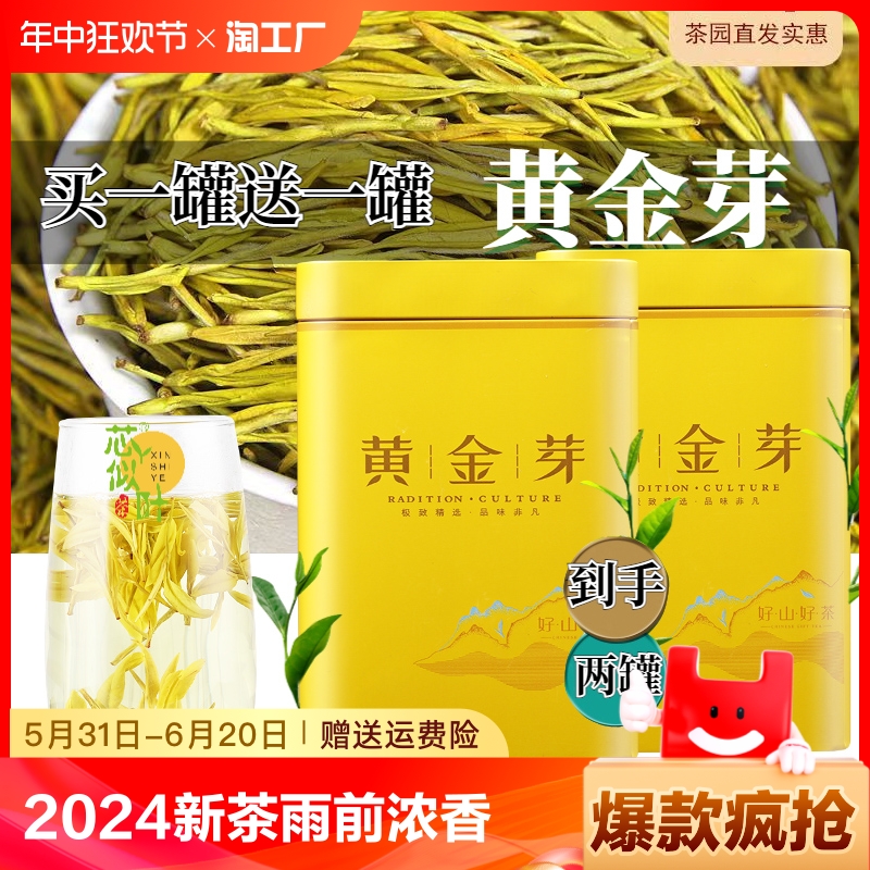 买一罐送一罐黄金芽茶叶2024新茶雨前浓香耐泡黄金叶绿茶250g罐装