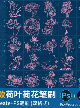 ps笔刷procreate笔刷中国古风荷叶荷花卉线稿睡莲花植物图案素材