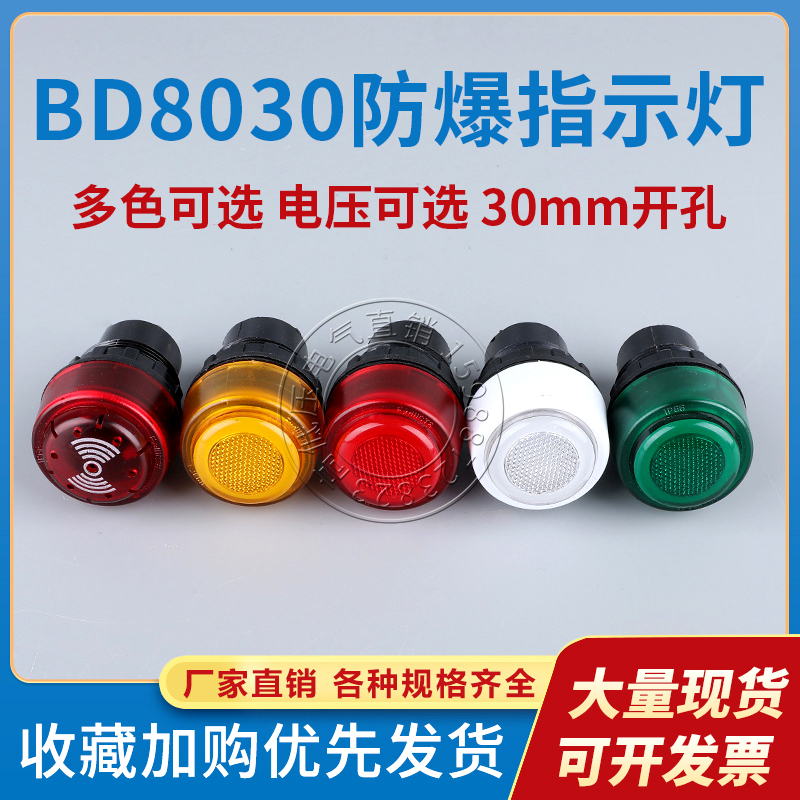 BD8030防爆电源指示灯信号灯红黄绿蓝白380V配电箱LED灯开孔30MM