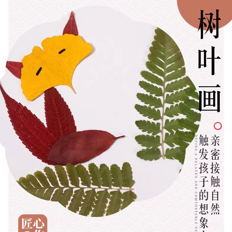 小学生幼儿园儿童diy材料包真创意秋天植物标本树叶手工贴画成品