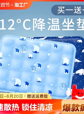 夏季冰垫坐垫凉垫汽车水垫降温宠物冰凉垫子凝胶学生水床垫冰袋