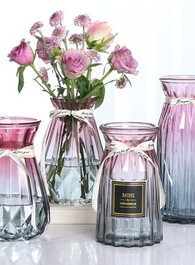 北欧创意透明玻璃花瓶水培绿萝植物干花鲜花插花瓶客厅装饰摆件