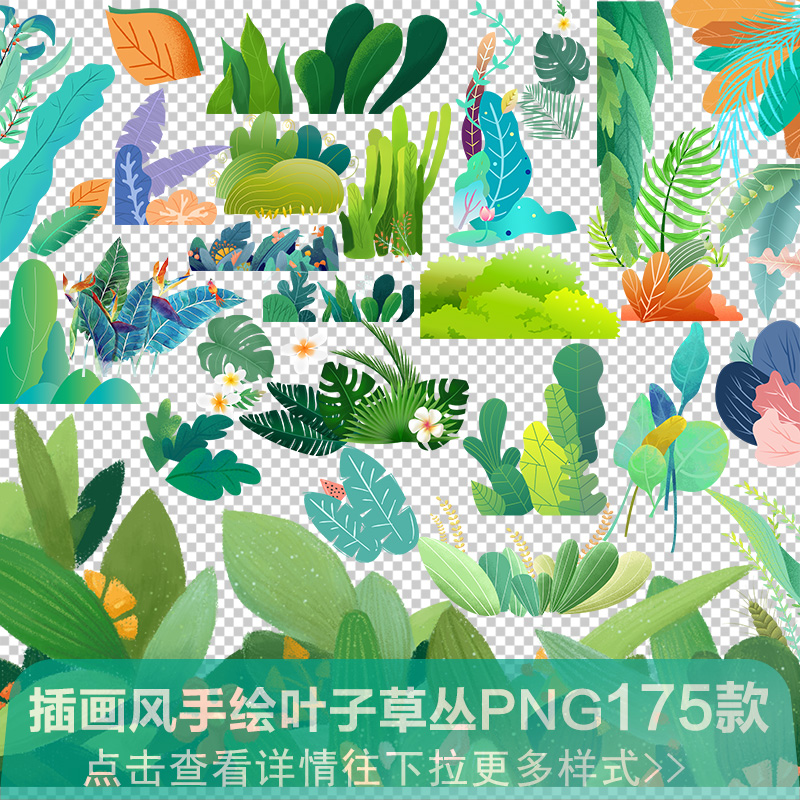 手绘热带植物花卉北欧叶子树枝插画设计图案绿叶边框春夏PNG素材
