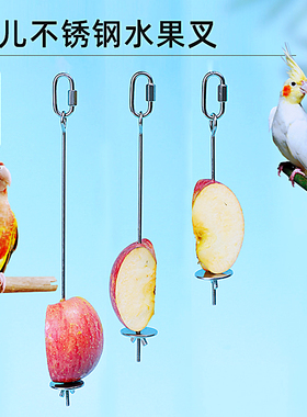 鸟用水果叉鹦鹉不锈钢水果架玄风牡丹果蔬架鸟笼用品用具配件大全